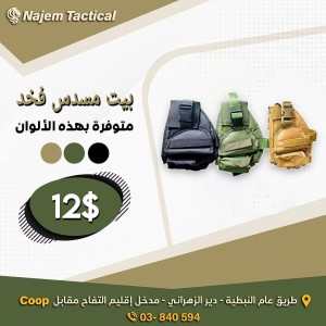 Gun Bag
