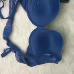 Bombshell Lace Wing Push-up Bra Aegean Blue