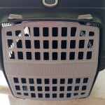 Pet Carrier : Plastic Pet Cat Dog Cage Carrier with Mesh Door