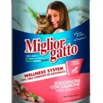 Miglior Gatto Chunks with Salmon for Cats